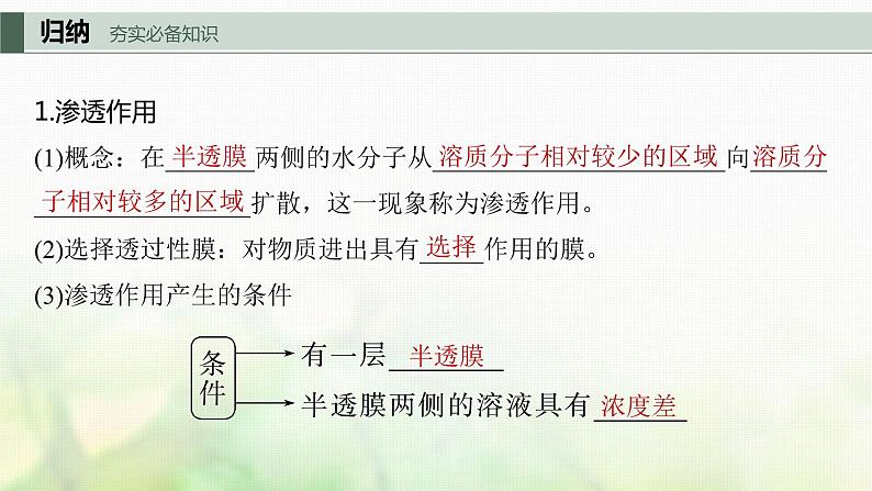 苏教版2024届高考生物一轮复习细胞质膜具有选择透过性课件05