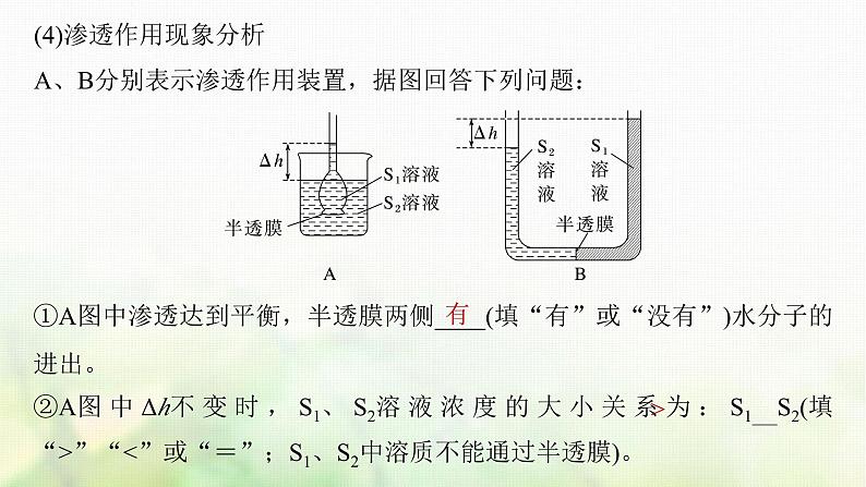 苏教版2024届高考生物一轮复习细胞质膜具有选择透过性课件06