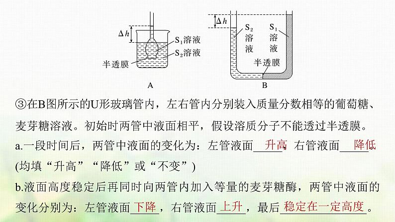 苏教版2024届高考生物一轮复习细胞质膜具有选择透过性课件07