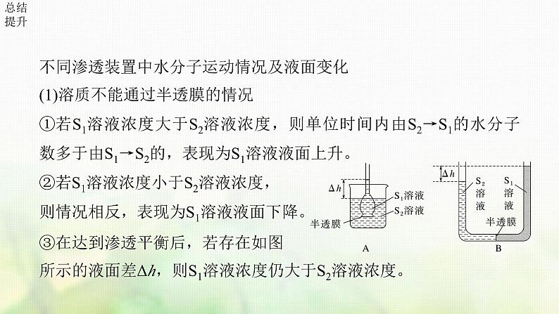 苏教版2024届高考生物一轮复习细胞质膜具有选择透过性课件08