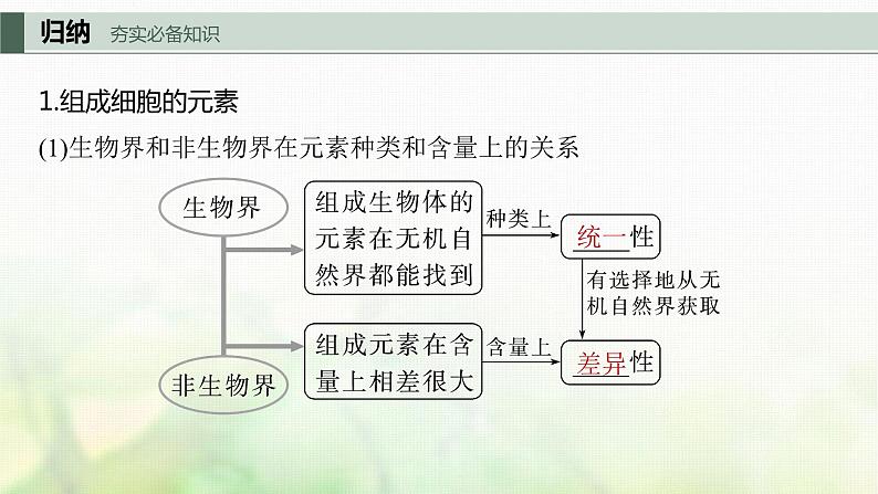 苏教版2024届高考生物一轮复习细胞中的无机物、糖类和脂质课件第5页