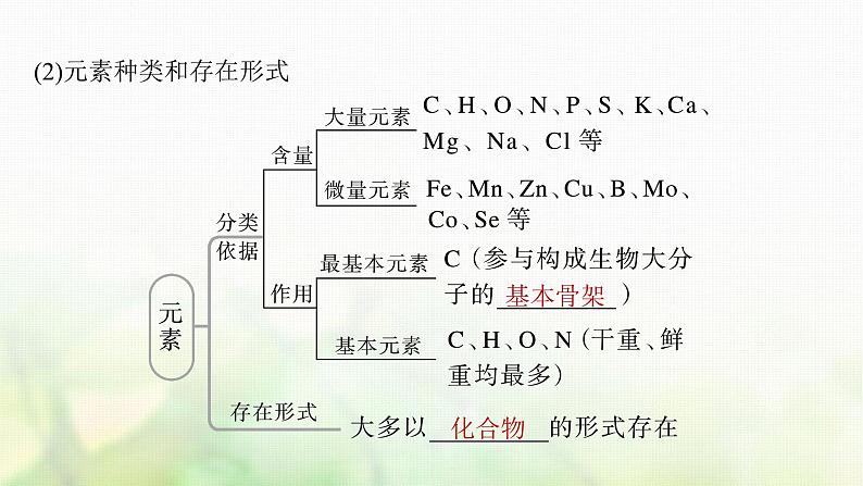 苏教版2024届高考生物一轮复习细胞中的无机物、糖类和脂质课件第6页