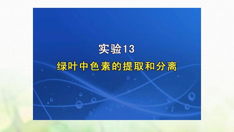 苏教版2024届高考生物一轮复习叶绿体与光能的捕获课件第4页