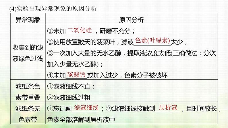 苏教版2024届高考生物一轮复习叶绿体与光能的捕获课件第7页