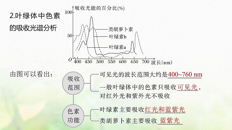 苏教版2024届高考生物一轮复习叶绿体与光能的捕获课件第8页