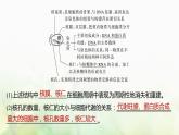 苏教版2024届高考生物一轮复习遗传信息主要储存在细胞核中课件