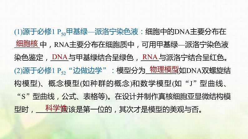 苏教版2024届高考生物一轮复习遗传信息主要储存在细胞核中课件07