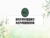 苏教版2024届高考生物一轮复习影响光合作用和细胞呼吸的环境因素课件