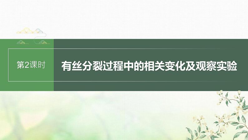 苏教版2024届高考生物一轮复习有丝分裂过程中的相关变化及观察实验课件01