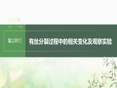 苏教版2024届高考生物一轮复习有丝分裂过程中的相关变化及观察实验课件