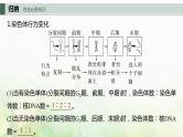 苏教版2024届高考生物一轮复习有丝分裂过程中的相关变化及观察实验课件