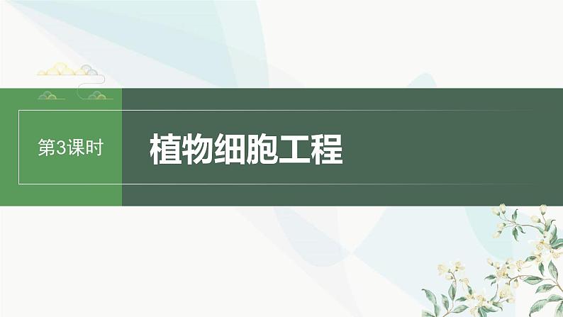 苏教版2024届高考生物一轮复习植物细胞工程课件第1页