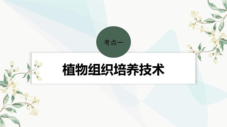 苏教版2024届高考生物一轮复习植物细胞工程课件第4页