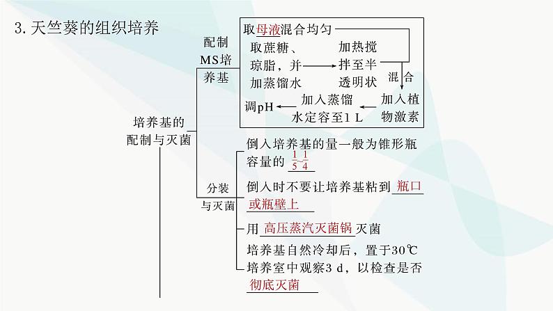 苏教版2024届高考生物一轮复习植物细胞工程课件第7页