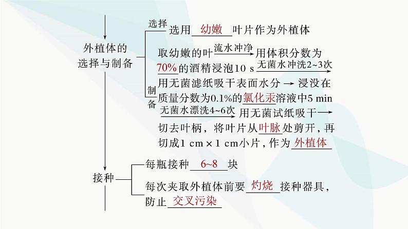 苏教版2024届高考生物一轮复习植物细胞工程课件第8页