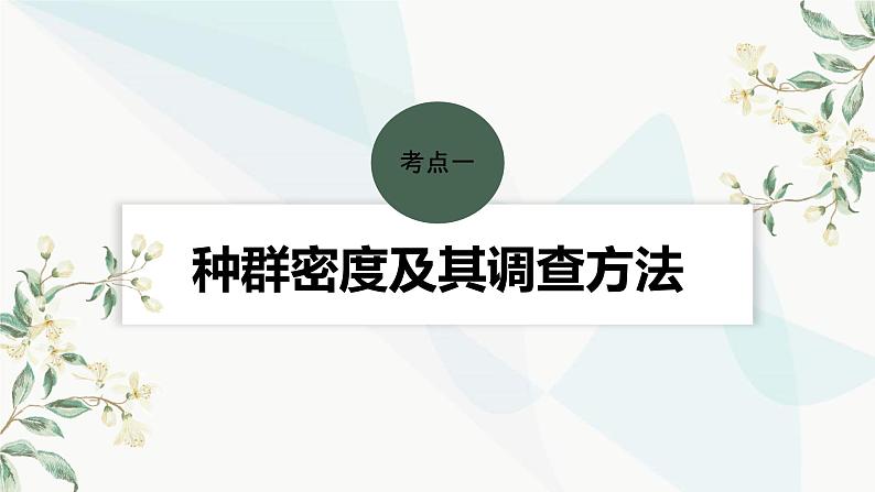 苏教版2024届高考生物一轮复习种群的特征课件第4页