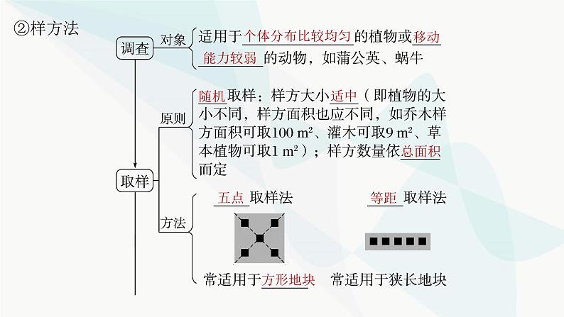 苏教版2024届高考生物一轮复习种群的特征课件第8页