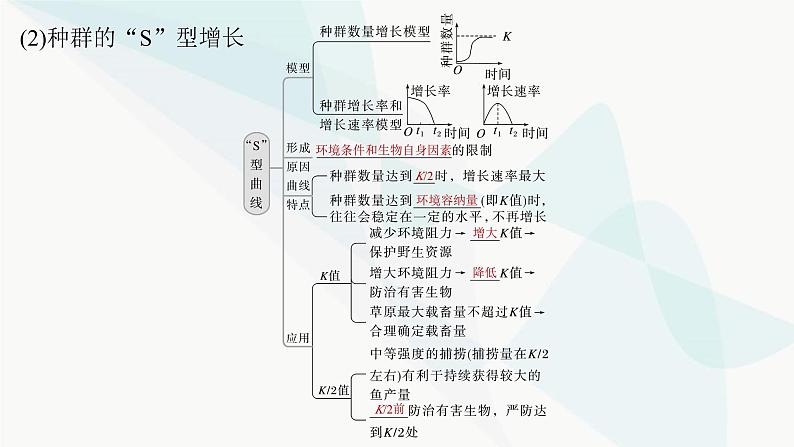 苏教版2024届高考生物一轮复习种群数量的变化课件第8页