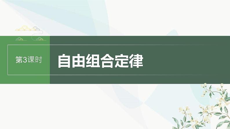 苏教版2024届高考生物一轮复习自由组合定律课件第1页