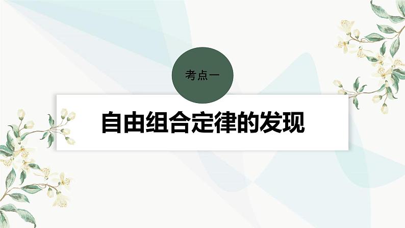 苏教版2024届高考生物一轮复习自由组合定律课件第4页