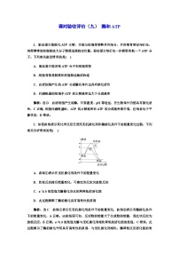 2024届人教版高考生物一轮复习酶和ATP作业含答案