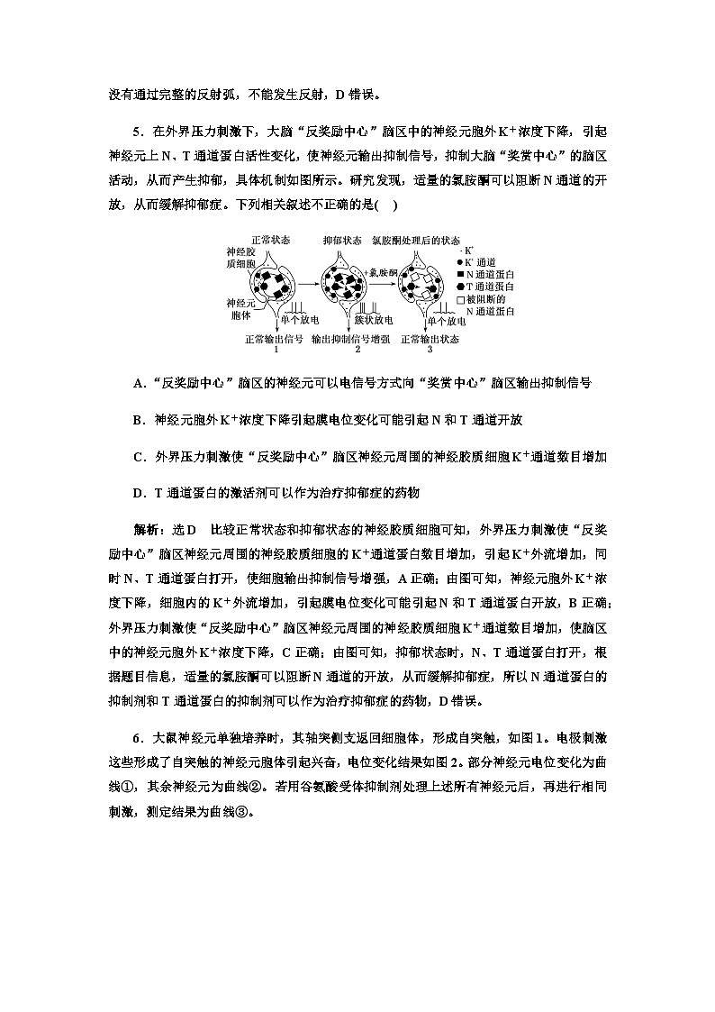 2024届人教版高考生物一轮复习神经调节中膜电位变化分析与相关实验探究作业含答案第3页