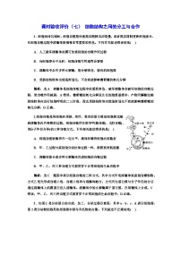 2024届人教版高考生物一轮复习细胞结构之间的分工与合作作业含答案