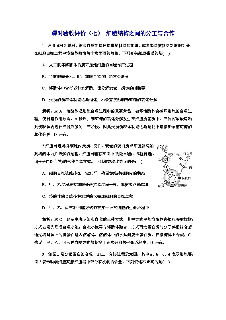 2024届人教版高考生物一轮复习细胞结构之间的分工与合作作业含答案第1页