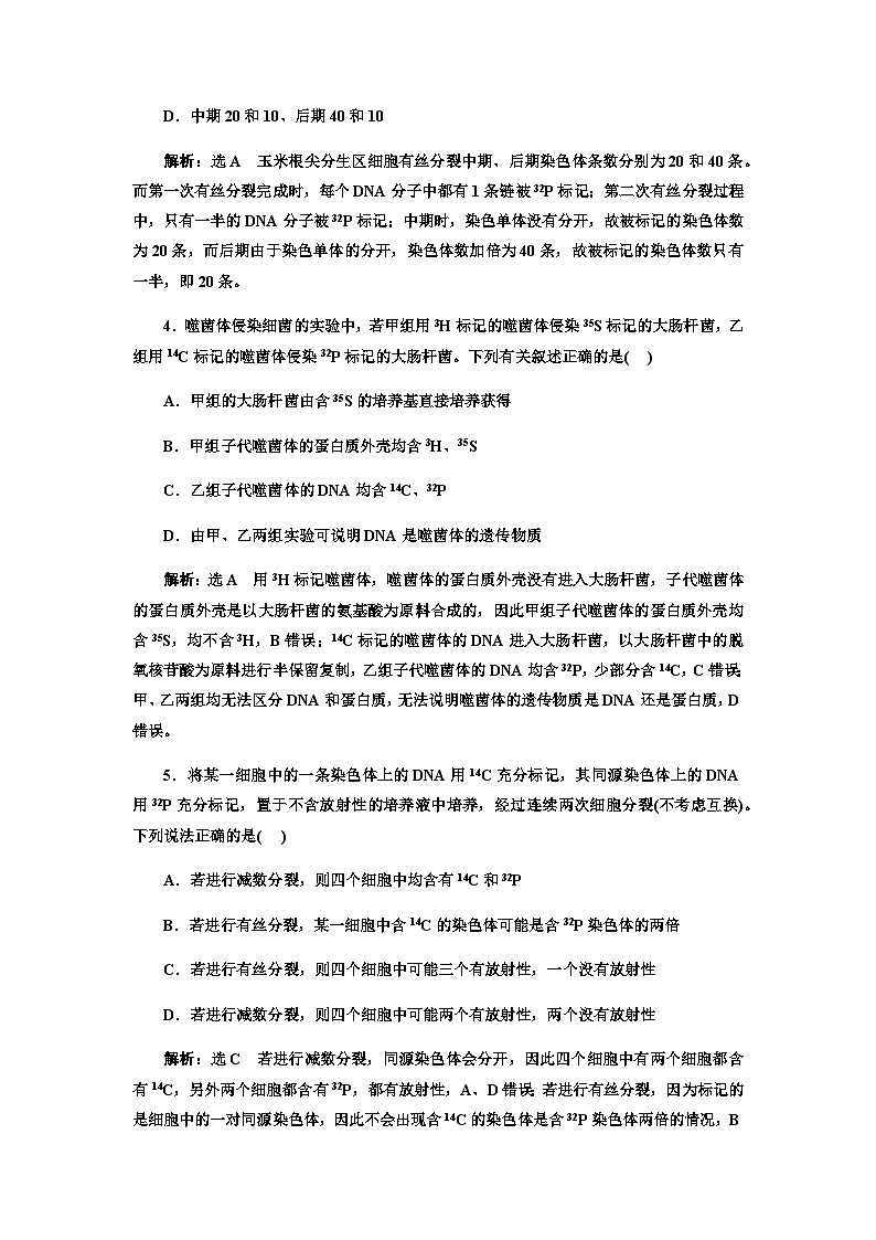 2024届人教版高考生物一轮复习同位素标记法在遗传物质研究中的应用作业含答案第2页