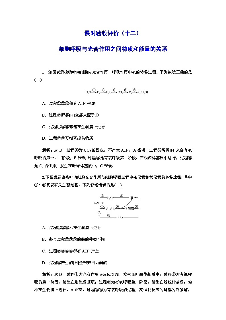 2024届人教版高考生物一轮复习细胞呼吸与光合作用之间物质和能量的关系作业含答案第1页