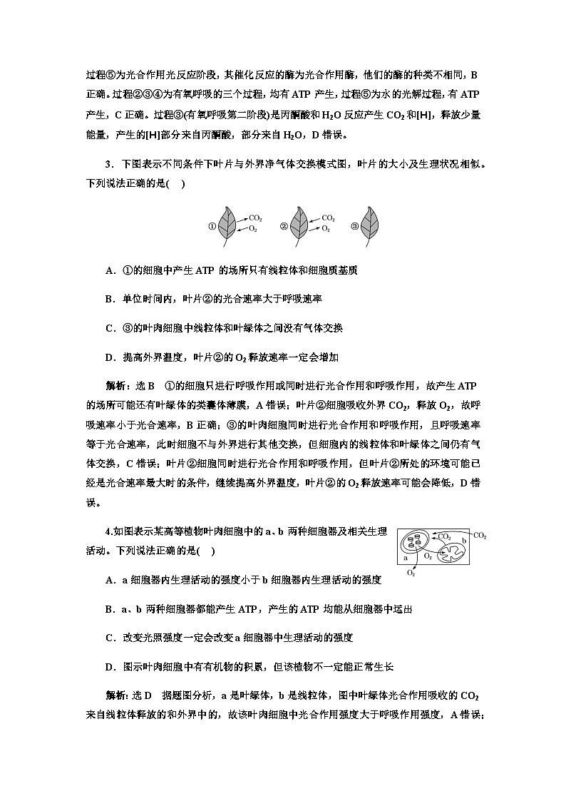2024届人教版高考生物一轮复习细胞呼吸与光合作用之间物质和能量的关系作业含答案第2页