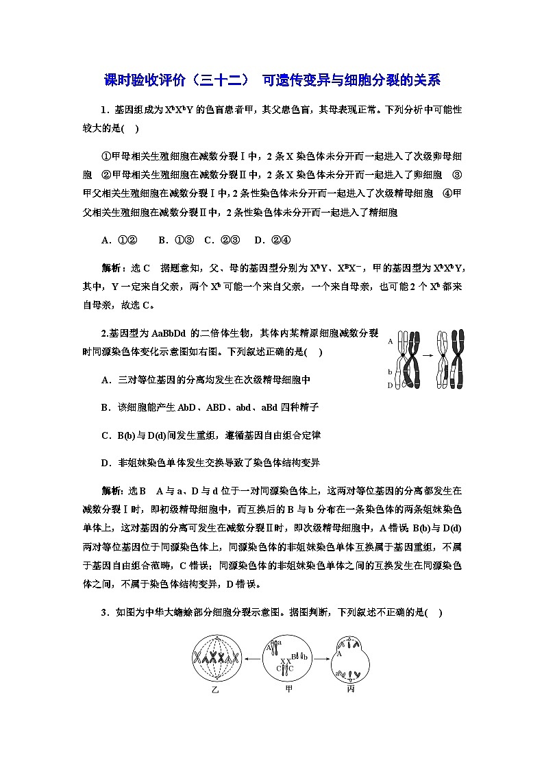 2024届人教版高考生物一轮复习可遗传变异与细胞分裂的关系作业含答案01