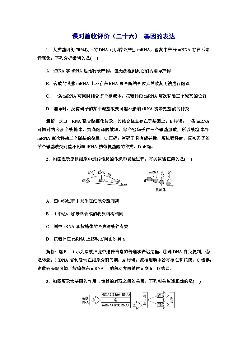 2024届人教版高考生物一轮复习基因的表达作业含答案第1页