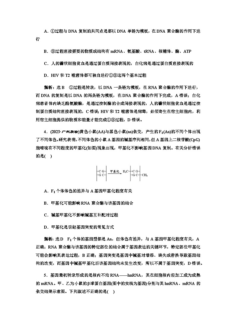 2024届人教版高考生物一轮复习基因的表达作业含答案第2页