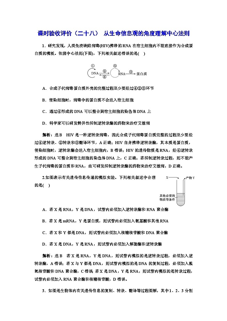 2024届人教版高考生物一轮复习从生命信息观的角度理解中心法则作业含答案第1页