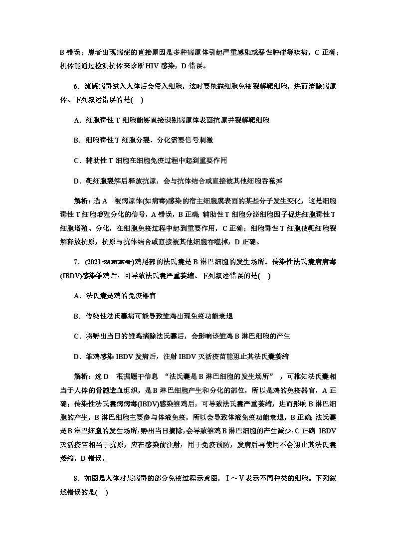 2024届人教版高考生物一轮复习免疫调节作业含答案第3页