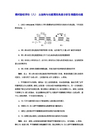 2024届人教版高考生物一轮复习从结构与功能观的角度分析生物膜的功能作业含答案