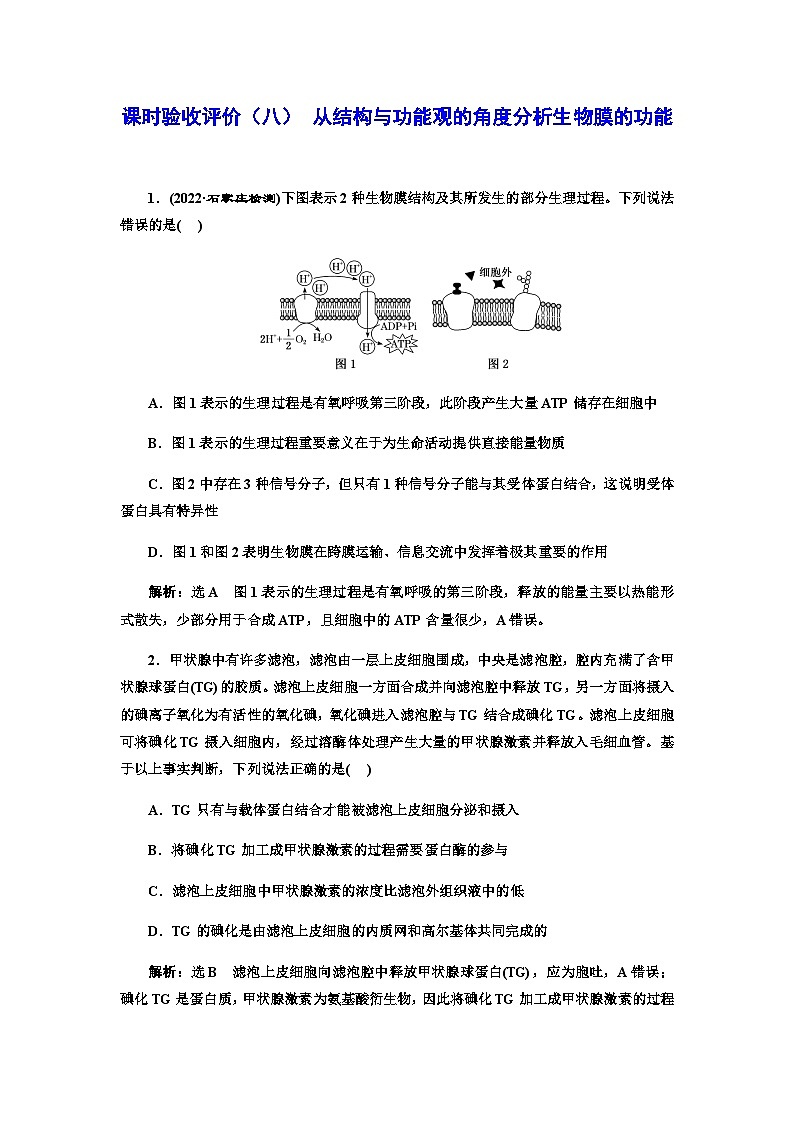 2024届人教版高考生物一轮复习从结构与功能观的角度分析生物膜的功能作业含答案第1页
