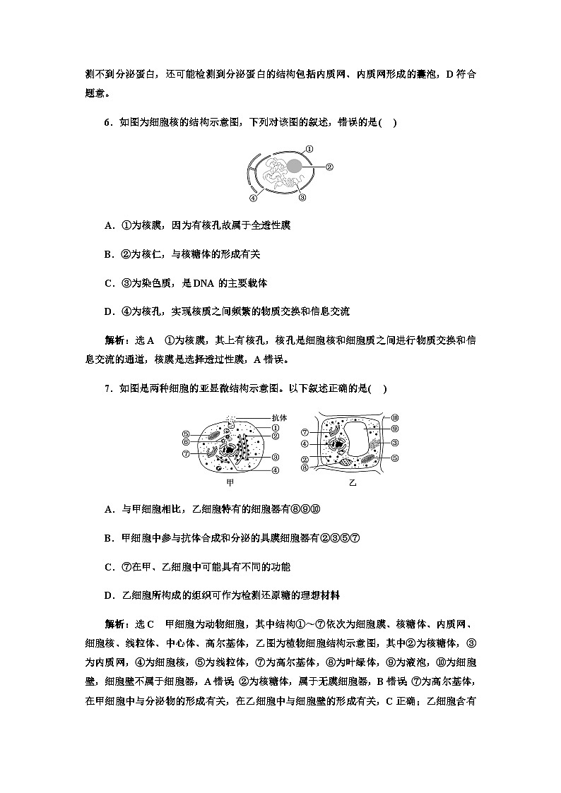2024届人教版高考生物一轮复习细胞的基本结构作业含答案第3页