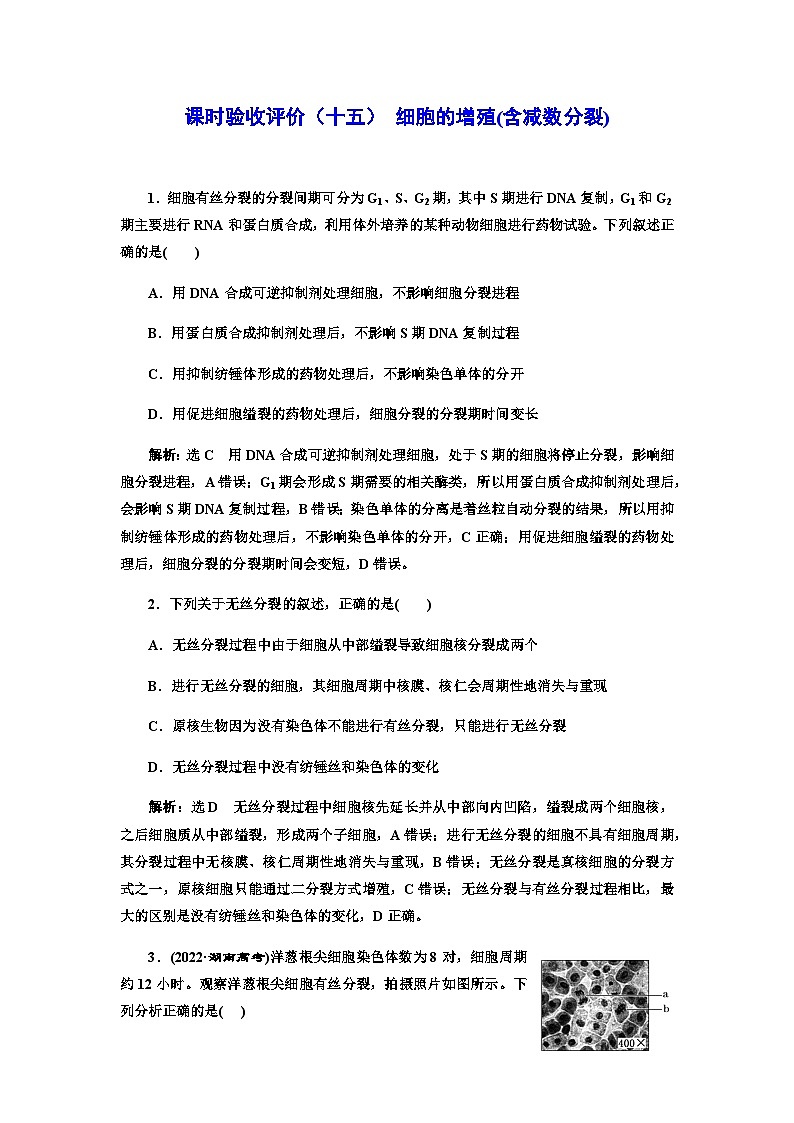 2024届人教版高考生物一轮复习细胞的增殖(含减数分裂)作业含答案第1页