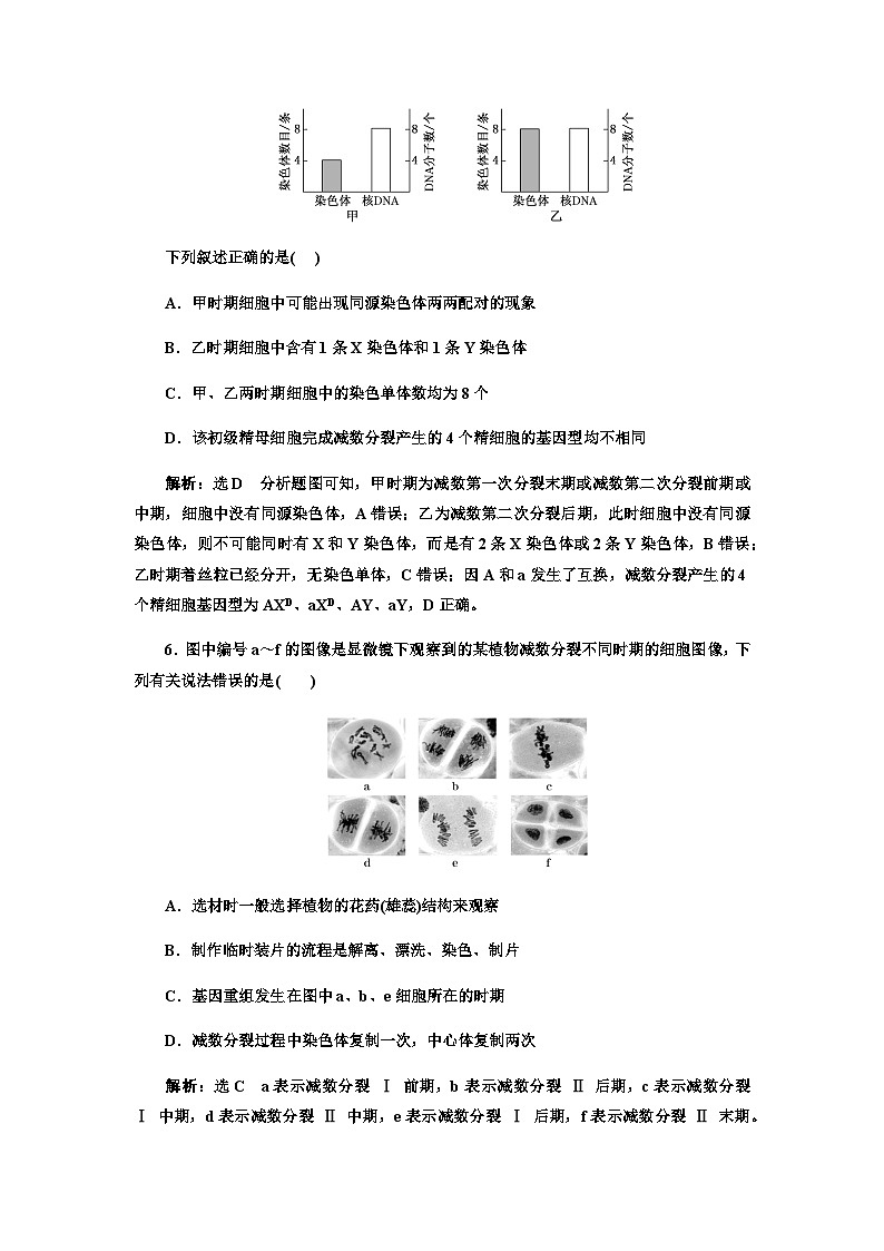 2024届人教版高考生物一轮复习细胞的增殖(含减数分裂)作业含答案第3页