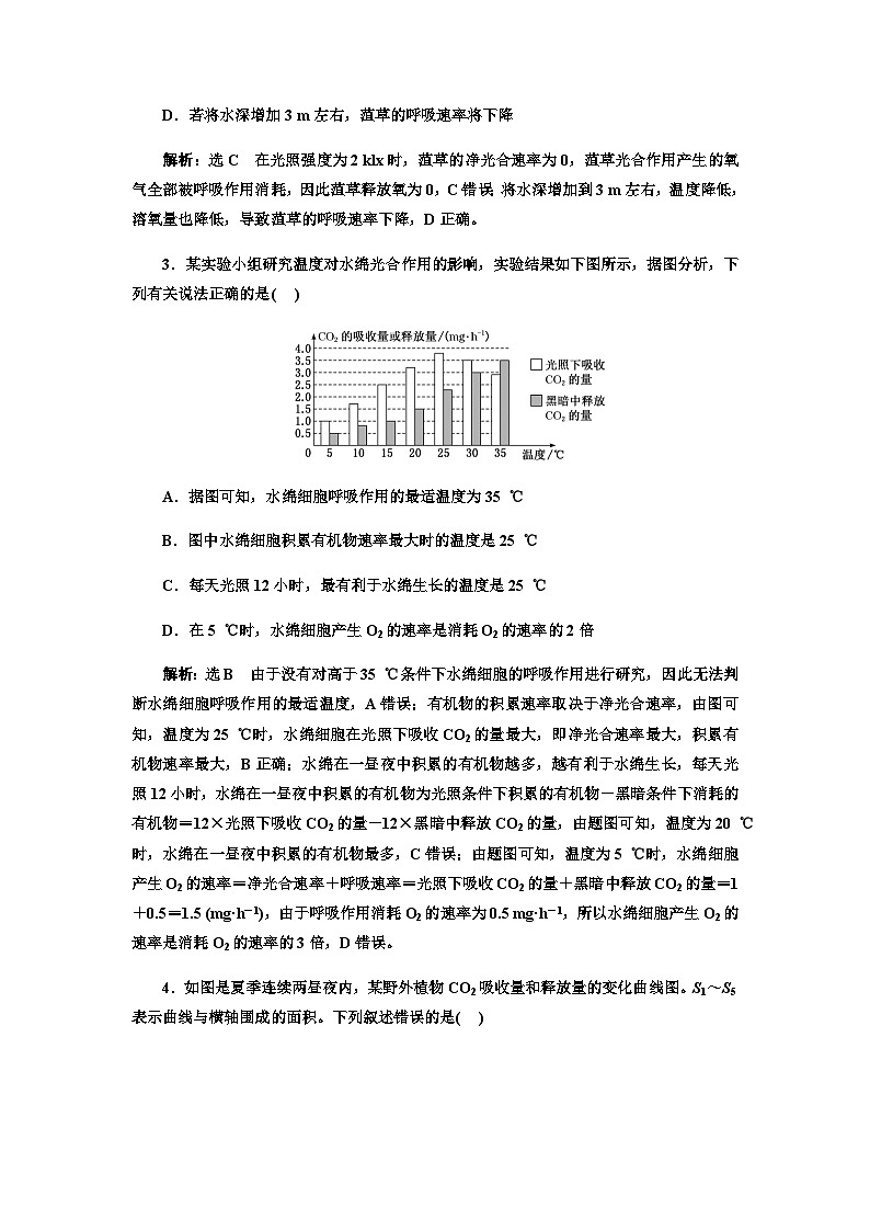 2024届人教版高考生物一轮复习细胞呼吸和光合作用的影响因素作业含答案第2页