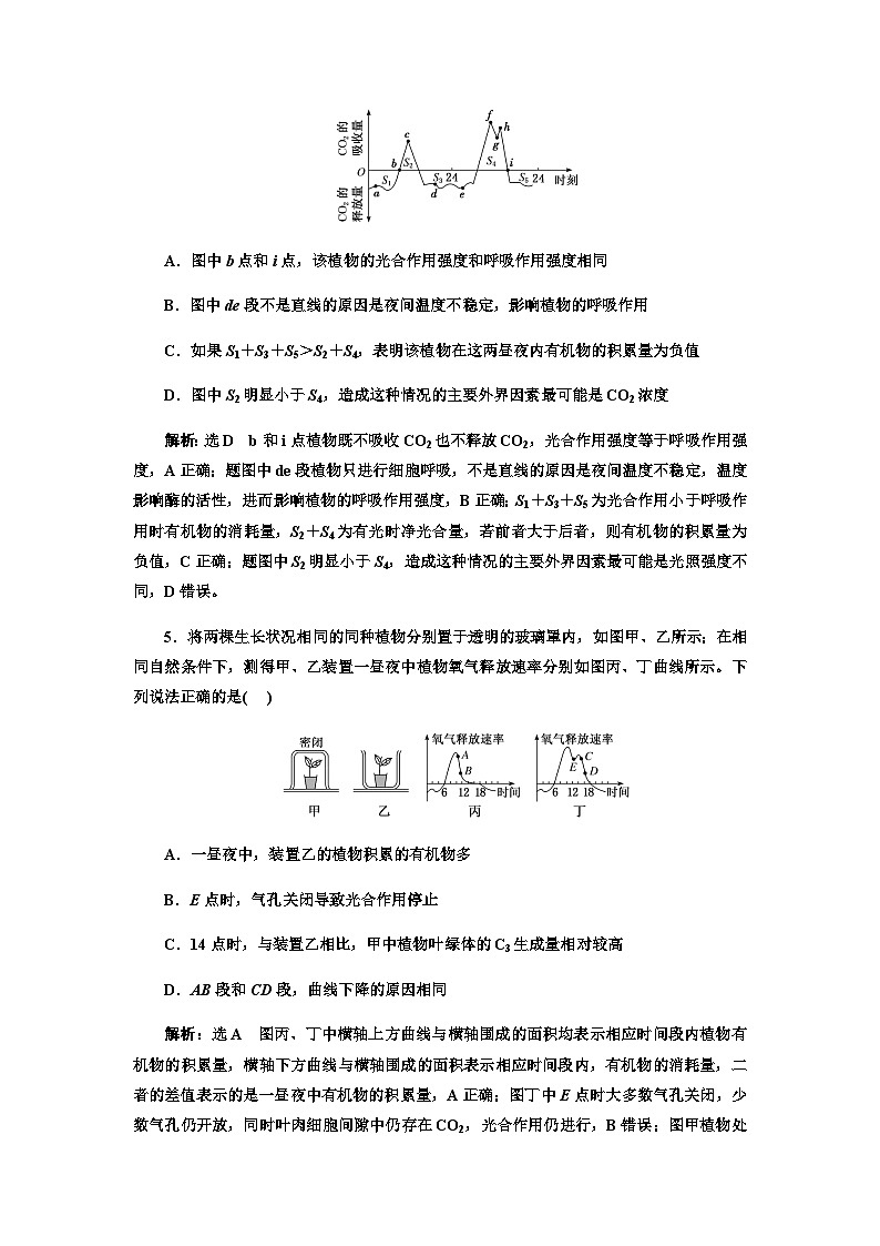 2024届人教版高考生物一轮复习细胞呼吸和光合作用的影响因素作业含答案第3页