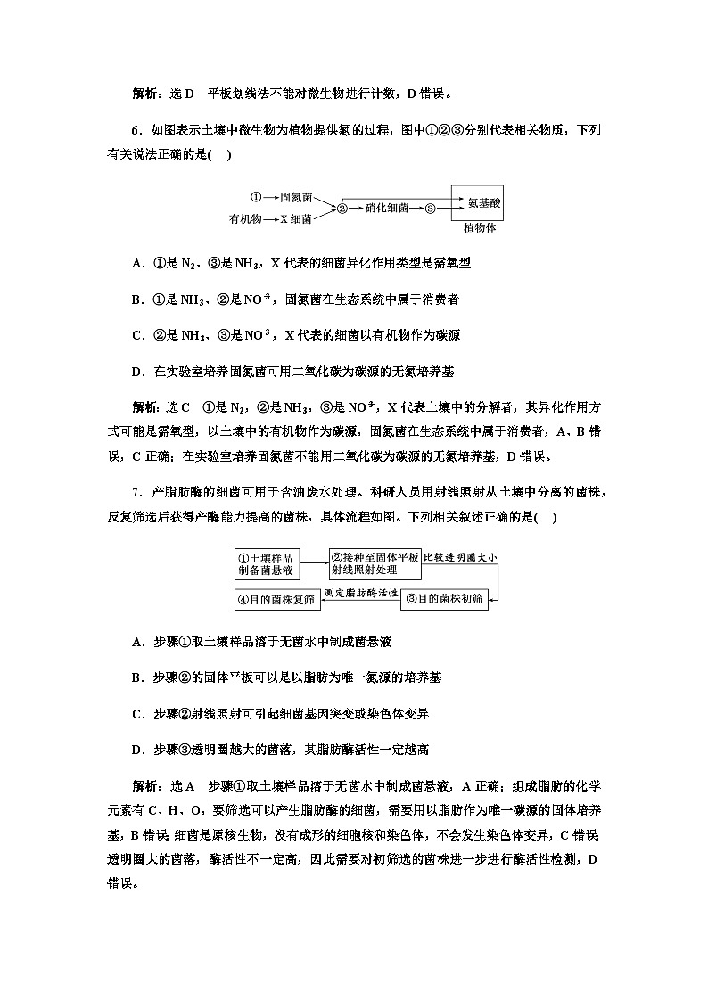 2024届人教版高考生物一轮复习微生物的培养技术及应用作业含答案第3页