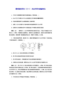 2024届人教版高考生物一轮复习光合作用与能量转化作业含答案