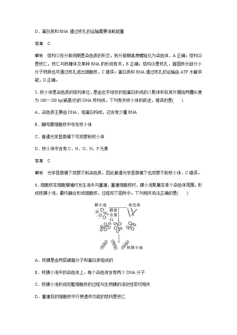 2024届苏教版高考生物一轮复习遗传信息主要储存在细胞核中作业含答案03