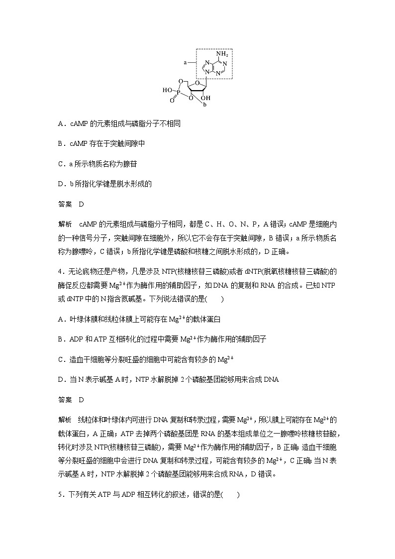 2024届苏教版高考生物一轮复习ATP是驱动细胞生命活动的直接能源物质作业含答案第2页