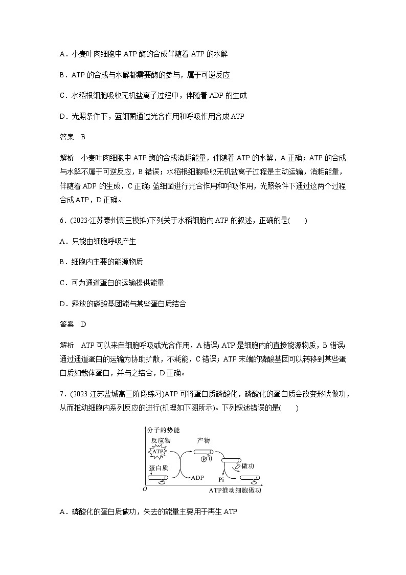 2024届苏教版高考生物一轮复习ATP是驱动细胞生命活动的直接能源物质作业含答案第3页