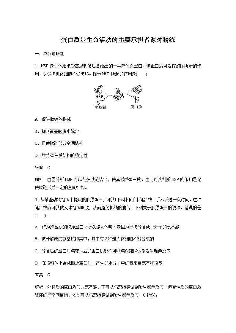 2024届苏教版高考生物一轮复习蛋白质是生命活动的主要承担者作业含答案第1页
