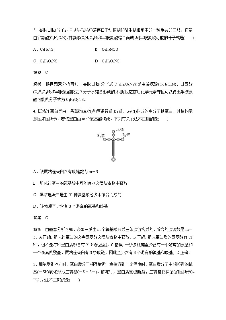 2024届苏教版高考生物一轮复习蛋白质是生命活动的主要承担者作业含答案第2页